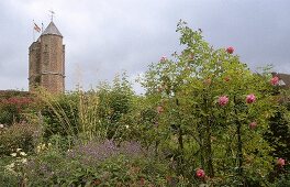 Pink roses on plant at Sissinghurst Castle Garden, Sissinghurst Castlein background, UK