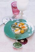 Eggs with bechamel sauce garnish with herb on plate