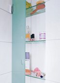 Badezimmerschrank mit Reagalböden aus Glas mit gläserner Schranktür