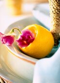 Close-up of hollowed out lemon with wicke in serving dish