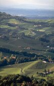 View of hills with lush in Styria, Austria