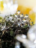 Kristallschneeflocken auf Zweigen Weihnachtsdeko, Baumschmuck