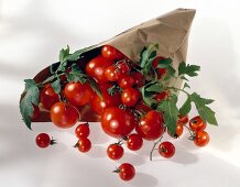 Bag of cherry and vine tomatoes on white background
