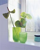Dekorative Schnittblumen in grünen Vasen auf einer Fensterbank