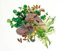 Close-up of salmon salad with curly endive and watercress on white background