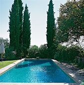 View of swimming pool in Provence cypress, France