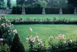 View of rosary flower in garden of Schlosshotel Munchhausen castle