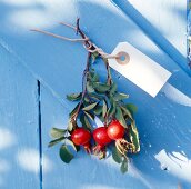 Branch of rose hip attached with small cardboard sign, hanging