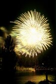 Seenachtsfest in Konstanz: Feuerwerk 
