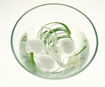 Glass bowl of leek strips in ice water to prepare leek curls