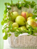 Apples in basket decorated with leaves