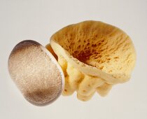 Close-up of natural sponge and sisal sponge