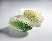 Chinese cabbage on white background