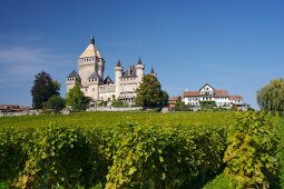 Château de Vufflens, Weingut in der Schweiz.