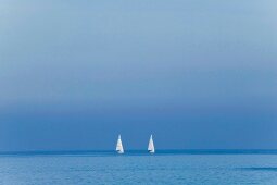 View of sail boat in sea from Vastra Hamnen, Malmo, Sweden