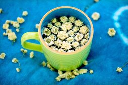 Tea flowers in cup on blue background