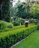 View of garden with boxwood lights and small hedge in front of house