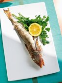 Grilled gurnard with parsley and lemon slice served on plate