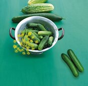 Pickled cucumber in colander bowl