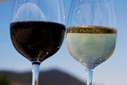 Rotwein und Weißwein in 2 Gläsern, Frankreich, Himmel im Hintergrund