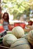 Close-up of charentais melons in wooden box at market