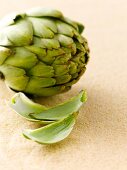 Close-up of artichoke on white background