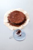 Schokokuchen: Step 4, Kuchen mit Kakao bestreuen