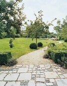 Apple trees, meadow, flowers and pavement in ornamental garden
