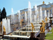 View of Peterhof Grand Cascade fountain with bronze sculptures in St. petersburg, Russia