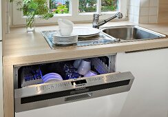 Dishes in dishwasher under sink