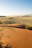 Namibia, Übergang von der Steppe zur Wüste