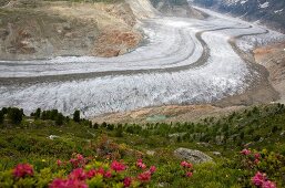 View of Aletsch Glacier in Valais, Switzerland