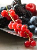 Close-up of red currants