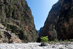 Samaria gorge national park in Crete, Greek