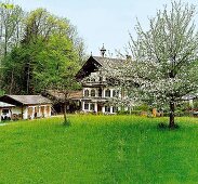 Bayern, Voralpenland, Mühlhaus zwischen Obstbäumen