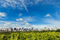 New York: Blick vom Metropolitan Museum of Art, Skyline, Center Park