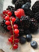 Close-up of red currants