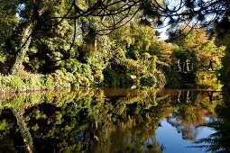Irland: Ashford, Mount Usher Garden, Brücke über Gewässer, malerisch.