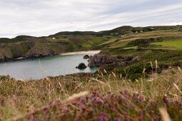 Irland: Country Donegal, Blick über Fanad Head, Natur, Küste, Bucht.