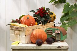 Autumnal decoration with pumpkins on table