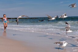 Women walking on sea shore and seagulls on beach in New York, USA