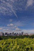 View of park and skyline from Metropolitan Museum of Art, New York, USA