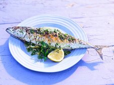 Sommerküche, Kräutermakrele mit Fenchel vom Grill