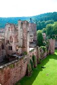 Heidelberg: Schlossruine 