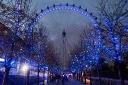 View of illuminated London Eye at night, London, UK