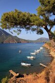 Kemer: Bucht von Adrasan, Boote, Pinienbaum, malerisch.