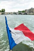French flag fluttering in wind, Paris, France