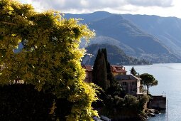 View of city from Varenna, Lake Como, Italy