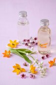 Aromatherapy glass bottles with essential oils and flowers scattered on purple background