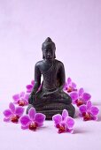 Close-up of Buddha statue surrounded by orchid flowers